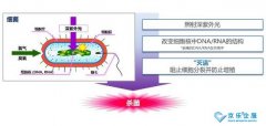 海信中央空調(diào)紫光盾殺菌模塊上市，健康技能加